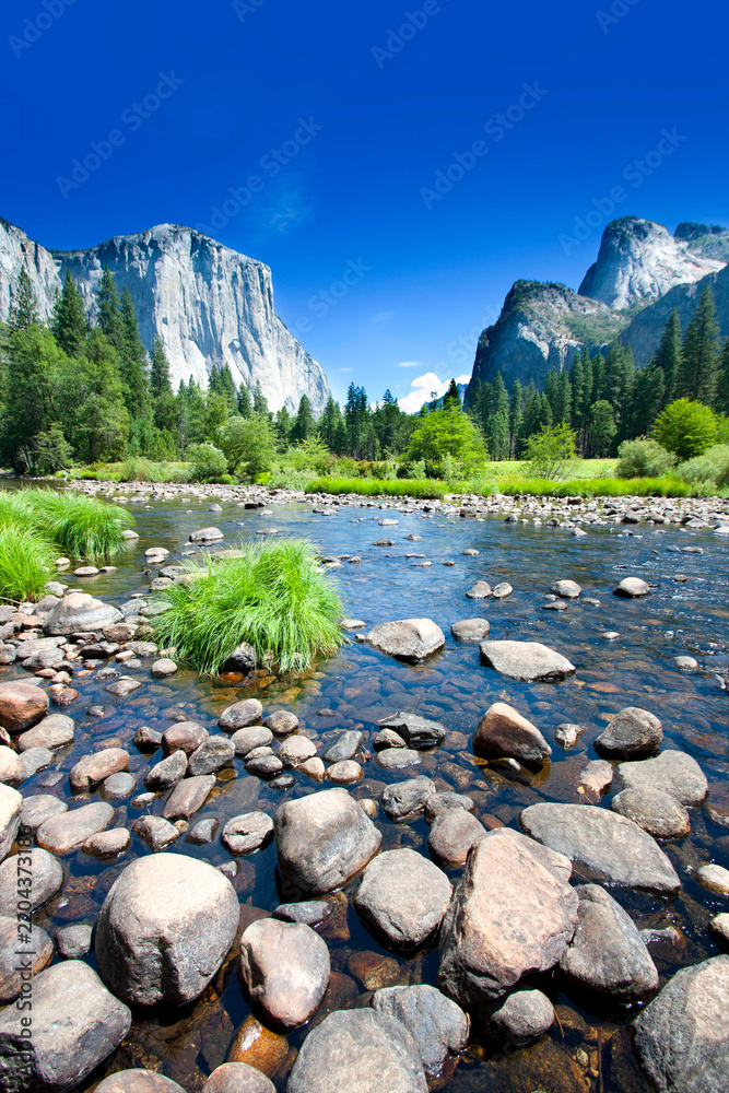 Obraz premium Scenic Valley View of Merced River, El Capitan and Cathedral Rocks in Yosemite National Park
