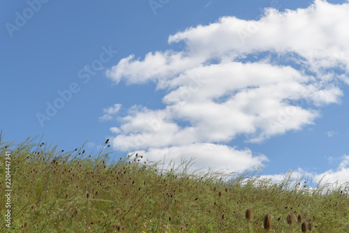 Sticker grass hill and clouds on a blue sky
