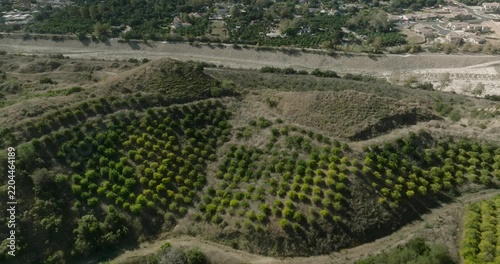 Aerial View of Planted Rows Across Hillside