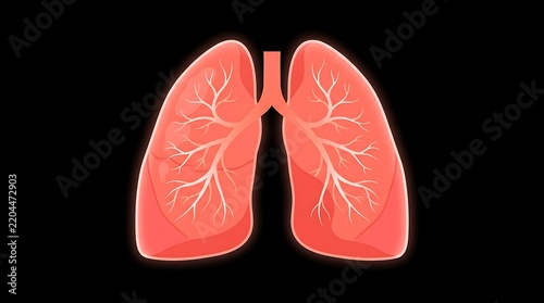 Obraz na płótnie Human lungs with bronchial tree
