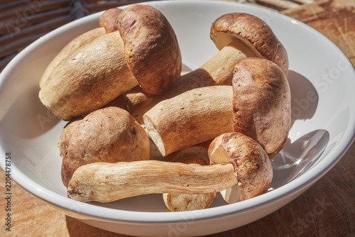 Fotografía Porcini mushrooms, fresh, whole, and raw, in a white bowl.