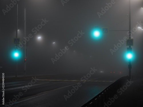 Very thick fog on the nighttime highway, traffic light at the pedestrian crossing. Poor visibility on the road.