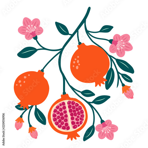 Flat Vector Illustration of Pomegranates and Flowers