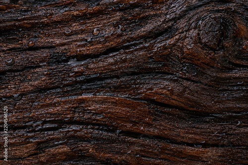 Dark Brown Wood Grain Texture with Deep Furrows and Rich Espresso Tones