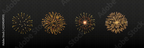 Vector Brightly Colorful Fireworks on the background of the night sky.