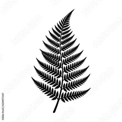 Black Fern Leaf Silhouette Isolated on White Background Minimalist Nature Design