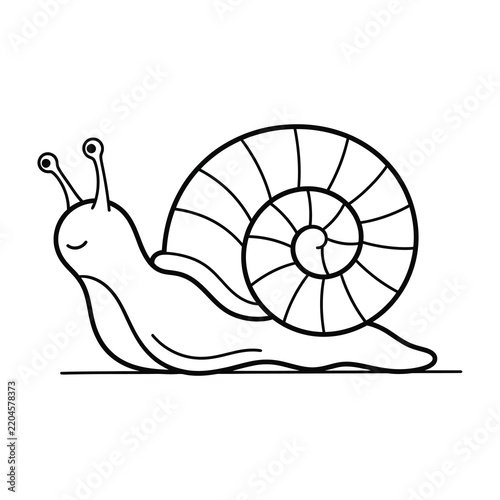 Simple Snail Line Art Isolated on White Background for Kids Coloring Page Project
