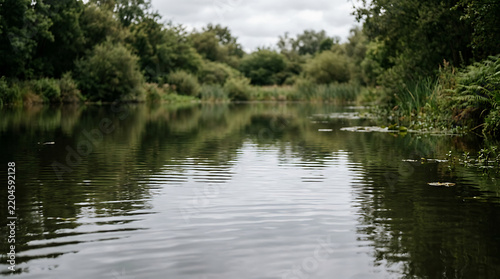 Calm pond water reflecting lush green trees and reeds under an overcast sky
