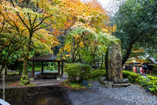 宮崎県　紅葉に染まる高千穂峡