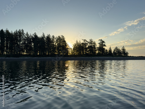 Sunset behind silhouetted trees on an island