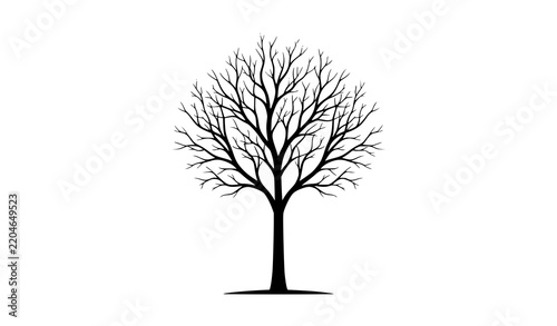 Leafless Tree Silhouette Vector Illustration