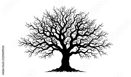 Bare Branch Tree Silhouette Vector Design