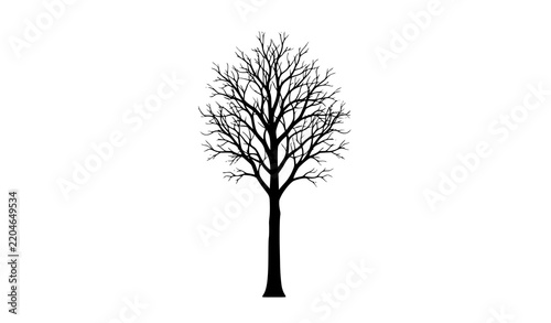 Winter Leafless Tree Silhouette Vector