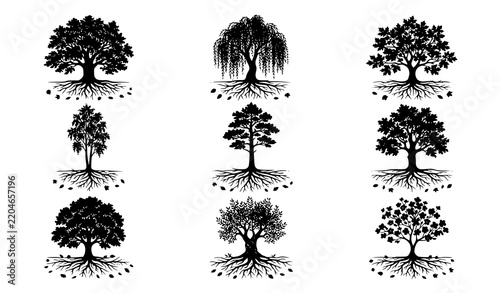 Natural Tree with Roots and Fallen Leaves Black Silhouette