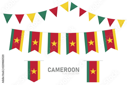Cameroon national flag vector set, triangular and rectangular bunting flags on white background