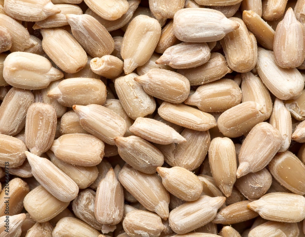 Fototapeta premium Peeled sunflower seeds full frame background pattern 