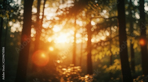 Abstract forest background with warm sunset light leaks. Golden bokeh sunbeams glow through blurred trees. Vintage film effect with dust, scratches creates nostalgic retro mood. Dreamy summer nature