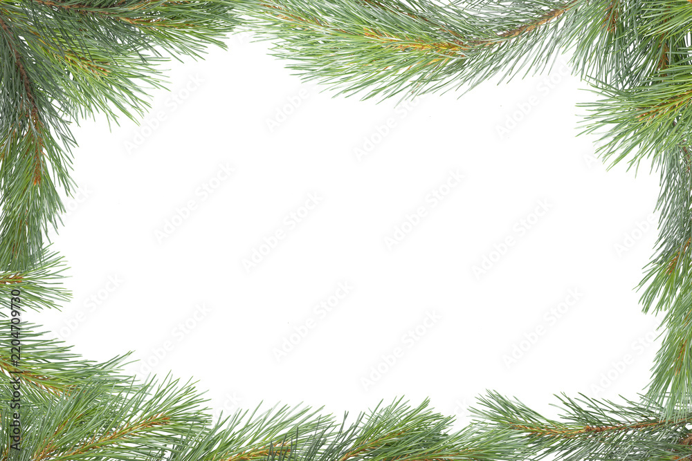 Obraz premium Christmas pine branch frame on a green background with space for text.