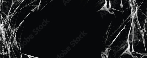 Spider web isolated on black grunge background. Cobweb frame. Halloween party design. Texture of spider web. Vector illustration