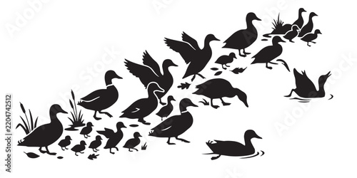 Ducks and ducklings silhouette set vector illustration