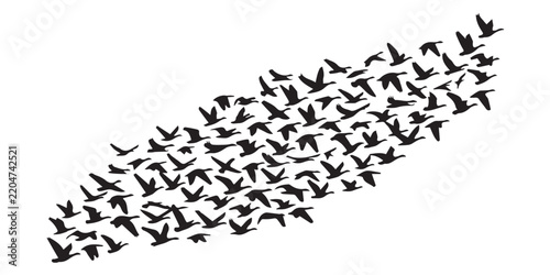Flock of birds flying silhouette vector element background