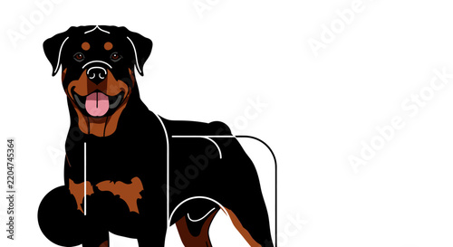 A happy Rottweiler dog with black and tan fur, standing and looking forward with its tongue out, against a white background.