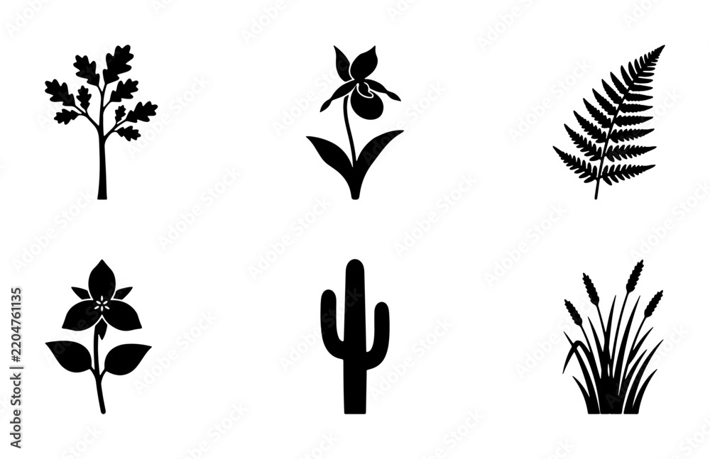 Fototapeta premium Botanical Icons Set: Oak Tree, Orchid, Fern, Trillium, Cactus, Grass Silhouettes