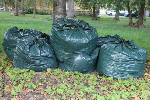 Green plastic bags filled with autumn leaves. Seasonal cleanup of fallen leaves in the city park. Removal of decaying leaves from the ground. Autumn season, fall foliage. Cleanup service.