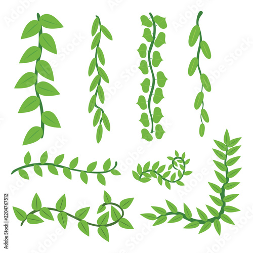 Green Botanical Vine and Leaf Decorative Elements