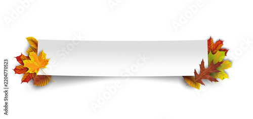 Paper Banner Autumn Foliage Real Transparent