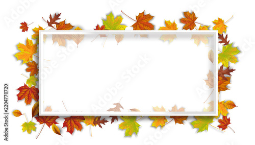 White Frame Autumn Foliage Transparent Header