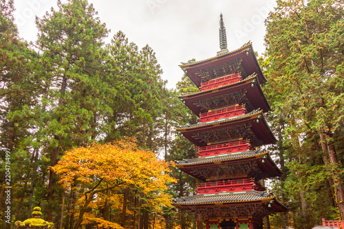 Pagoda in autumn foliage, Nikko, Japan
