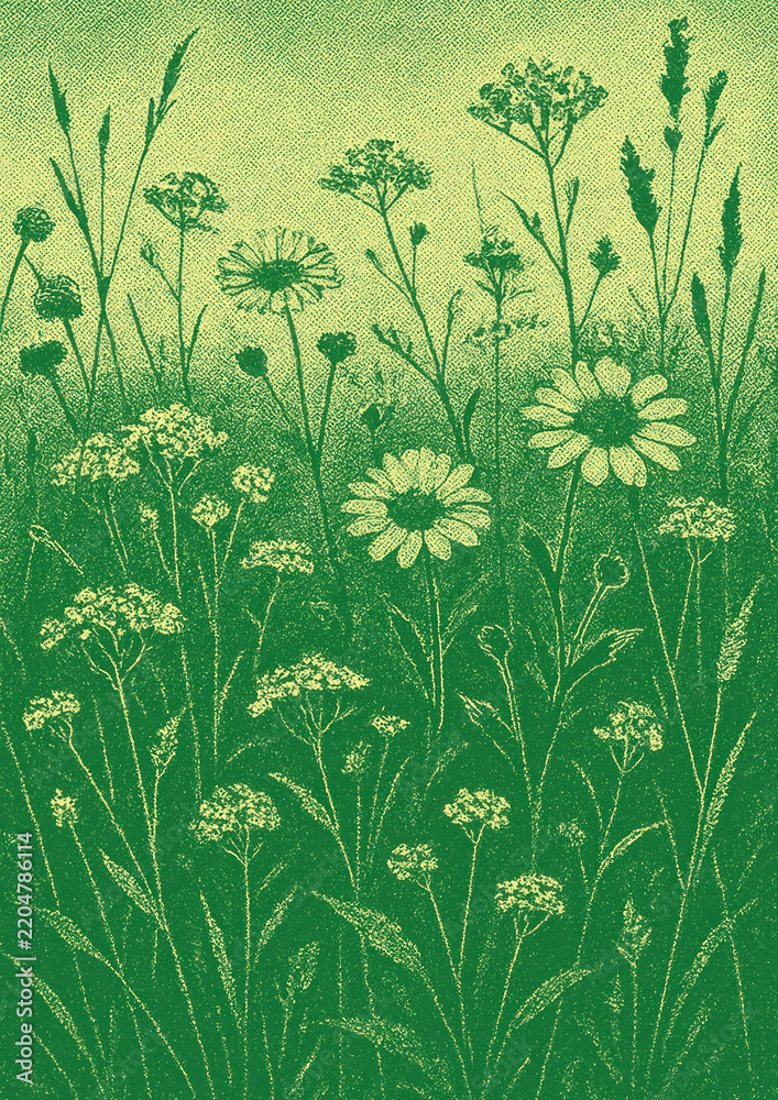Obraz premium Vintage floral meadow illustration