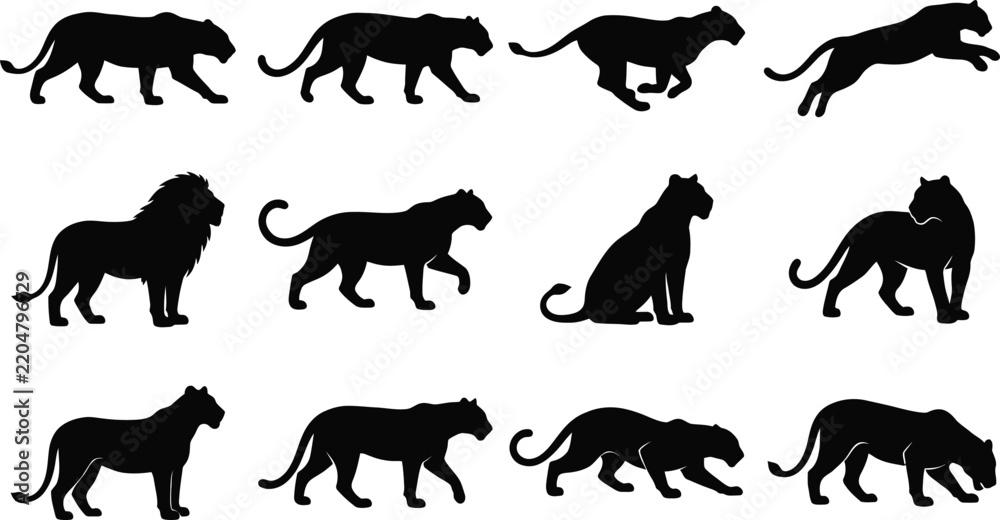 Fototapeta premium Collection of black wild cat silhouettes including lion tiger panther and leopard isolated on white background