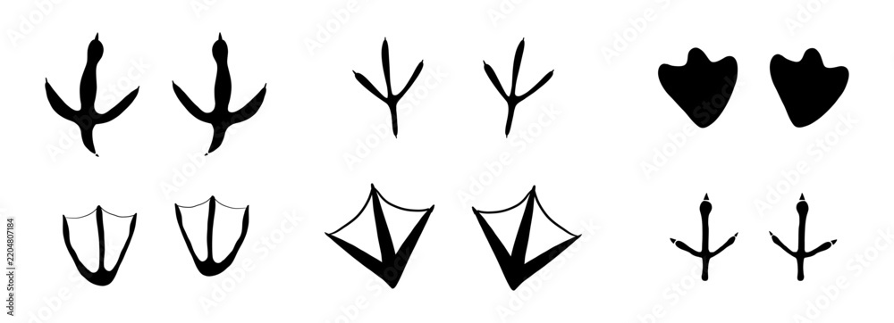 Fototapeta premium Bird foot mark print silhouette set. Bird trail goose duck foot. Authentic bird track silhouettes collection. Raven owl parrot turkey feet, hen or chicken stamp path black outline style 