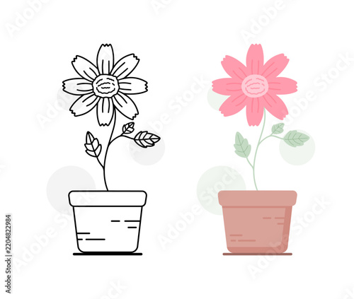 Daisy Flower in Pot Line Art and Flat Style Set