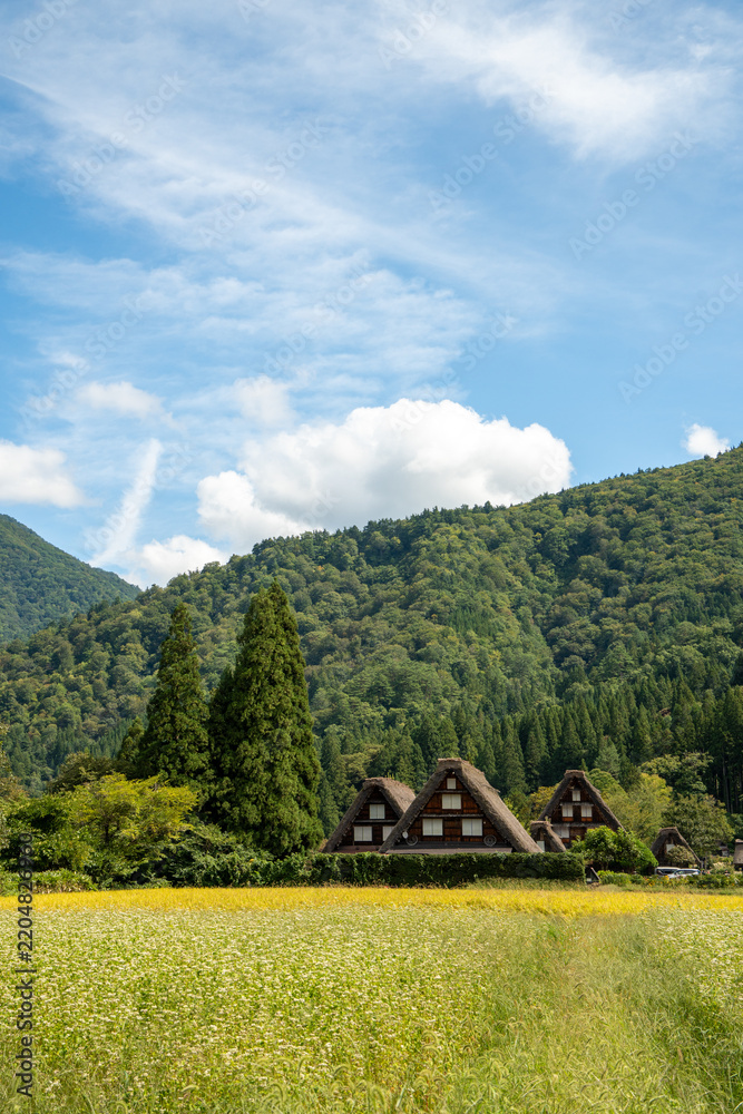 Obraz premium 世界遺産、白川郷合掌集落の秋、三つ子合掌と稲穂