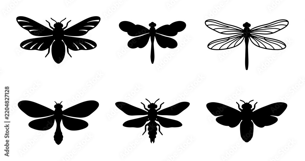 Obraz premium Insect Silhouettes Collection: Moth, Dragonfly, and Fly Vector Icons for Nature Designs