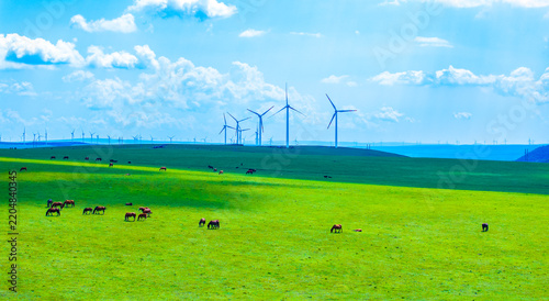 Horses grazing on grassland with wind turbines under cloudy sky