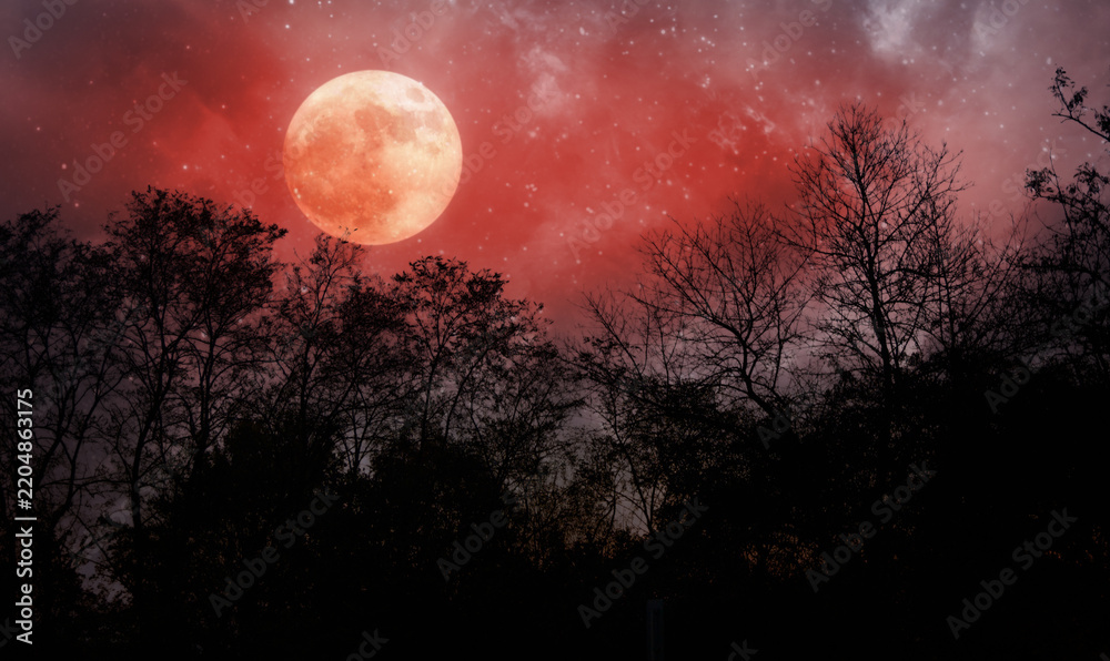 Obraz premium halloween background with red moon and dead trees