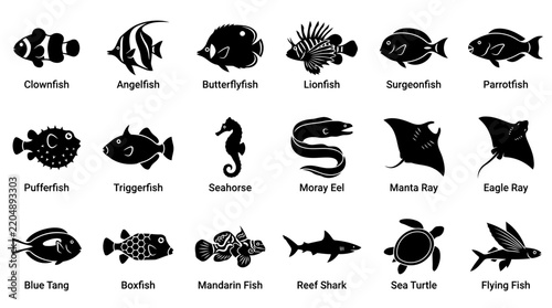 Tropical fish silhouettes with names including clownfish angelfish lionfish and seahorse.
