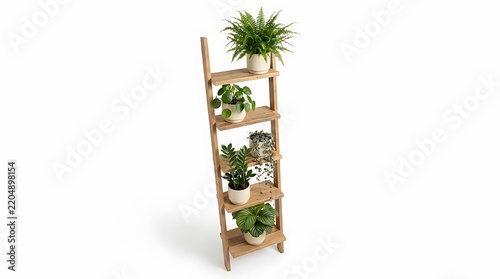 Wooden ladder shelf with five shelves decorated with various green potted houseplants isolated on white background