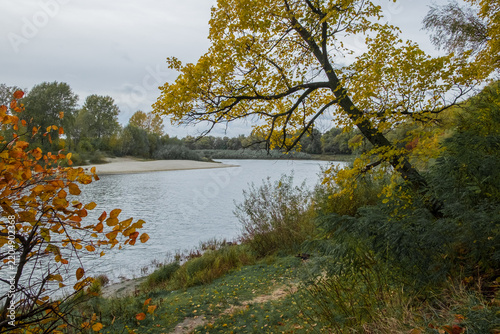Bild auf Leinwand a wide river flowing calmly past banks adorned with vibrant yellow trees and lus