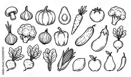 Vegan Fruits and Vegetables Hand Drawn Doodle Vector Collection with Mushroom Garlic Pumpkin and Avocado