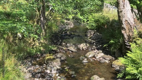 Mountain stream with beautiful plants and countryside England UK 4K