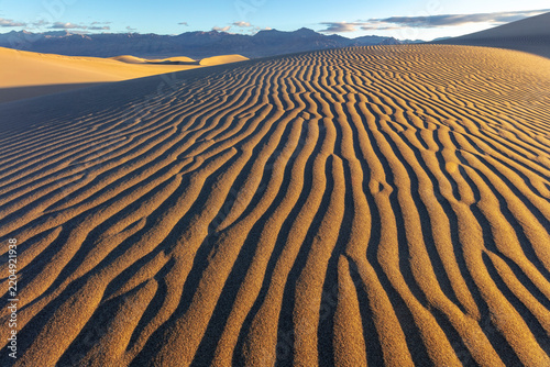 Ripples in the sand at Mesquite Sand Dunes in Death Valley National Park, California, USA.