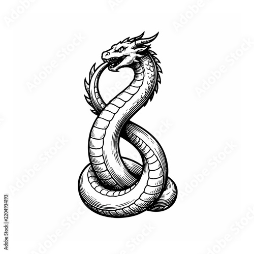 Detailed Black and White Vector Illustration of a Mythical Dragon Eating Its Tail Symbolizing Eternity and Infinity for Tattoo Design