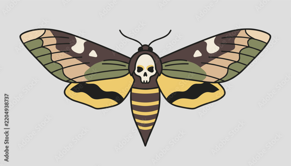 Obraz premium Detailed illustration of a death's-head hawkmoth with a skull pattern on its back, isolated on gray background.