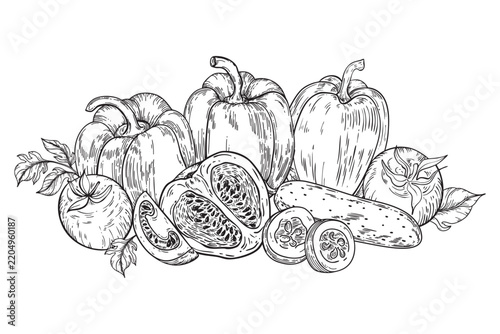 A vector composition of various vegetables, hand drawn, including bell peppers, cucumbers, and tomatoes. Template for a vegetable product label.