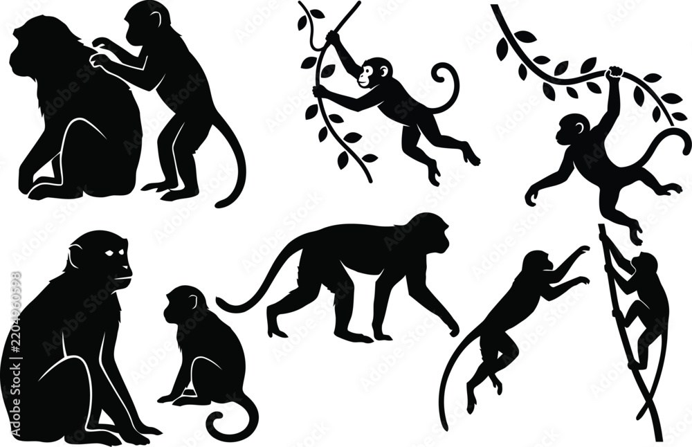 Obraz premium Collection of black silhouette monkey illustrations in various playful poses and actions
